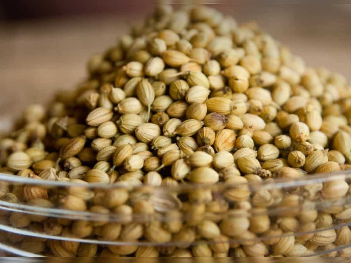 Coriander futures soar on higher demand