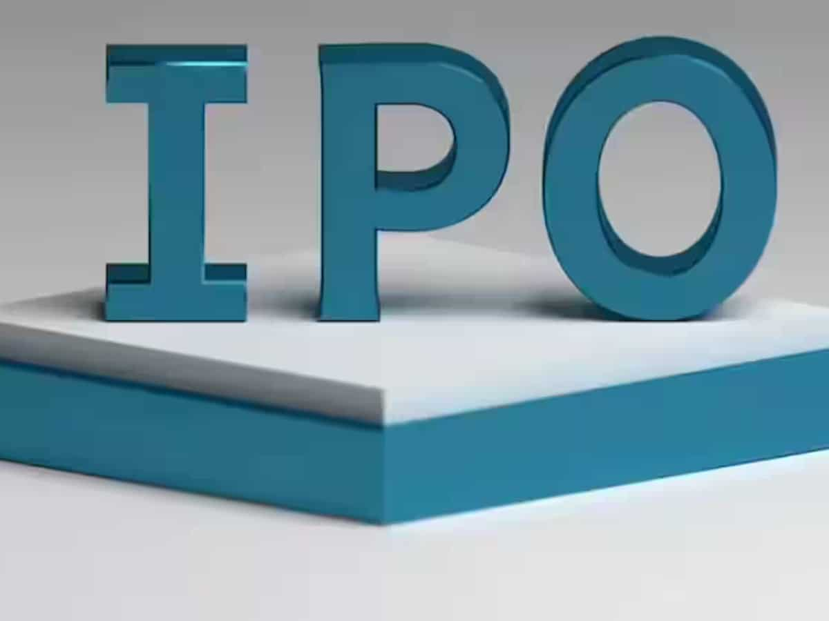 Godavari Biorefineries IPO- Issue details 