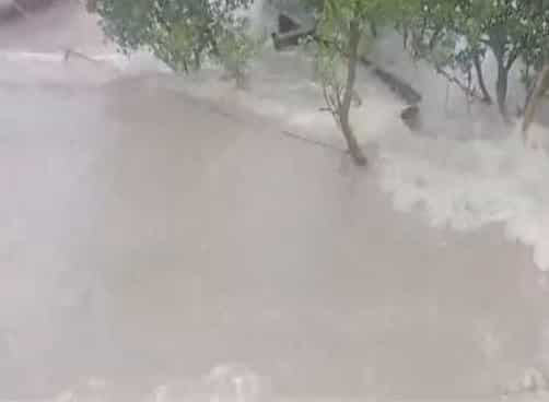 Cyclone, rain damaged crops on 1.75 lakh acre in Odisha, submerged another 2.80 lakh acre: Government