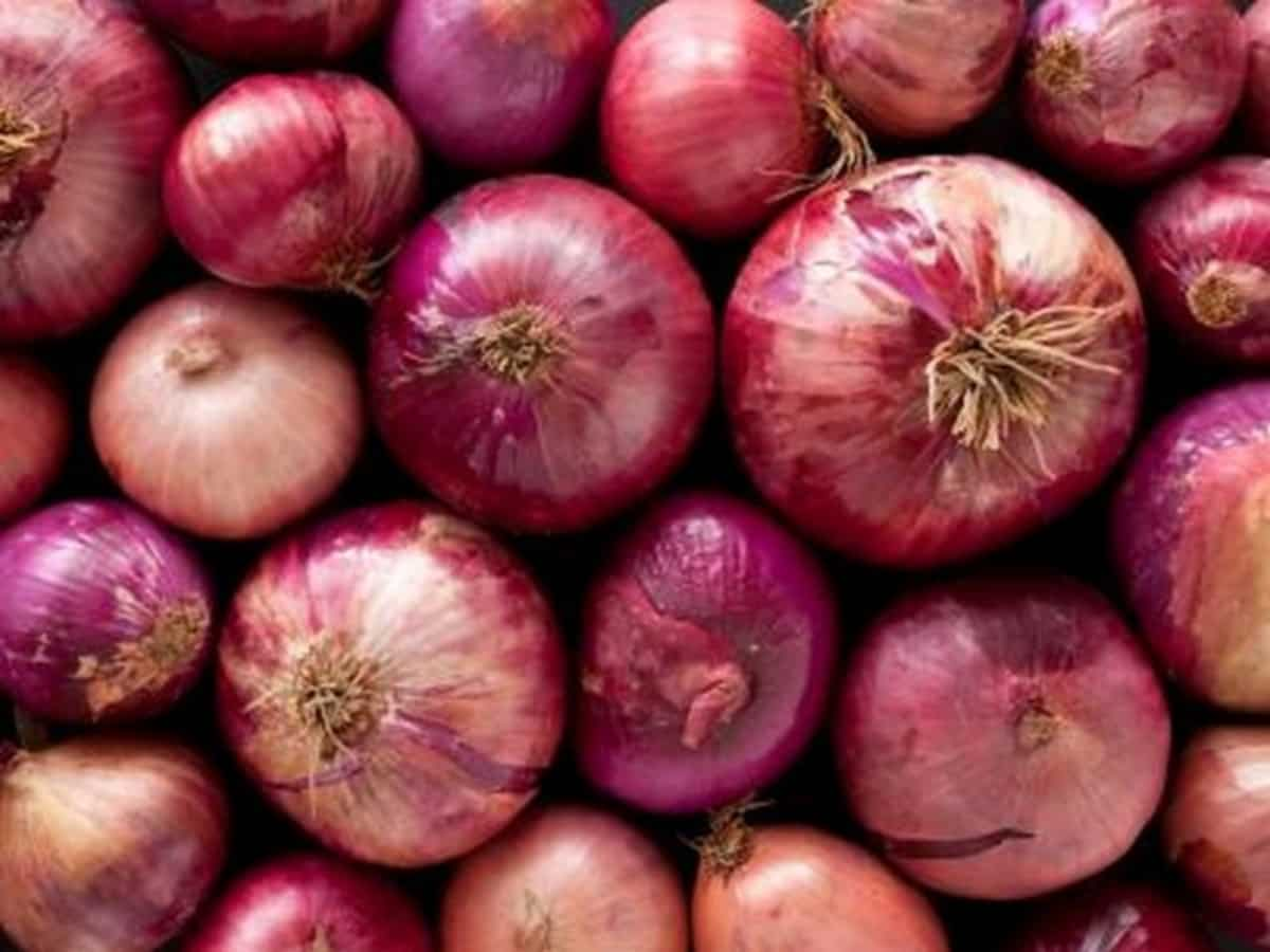 Government steps up onion supplies via rail transport to control prices; 840 tonne reaches Delhi