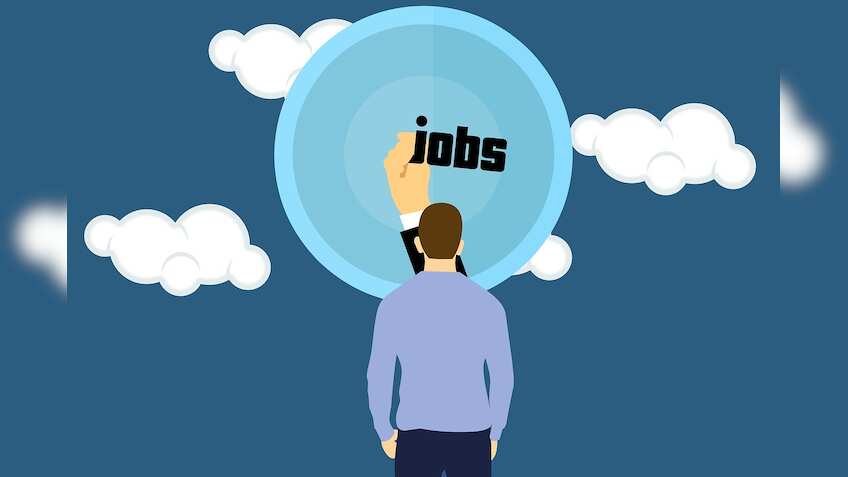 India sees higher employment growth in capital-intensive sectors compared to labour-intensive: Goldman Sachs report