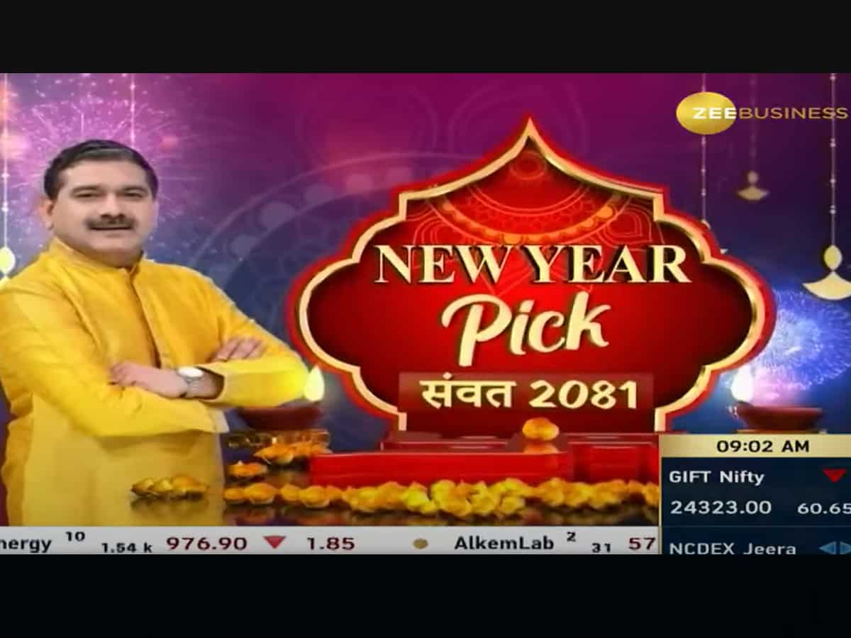 New Year Pick by Anil Singhvi, Samvat 2081 