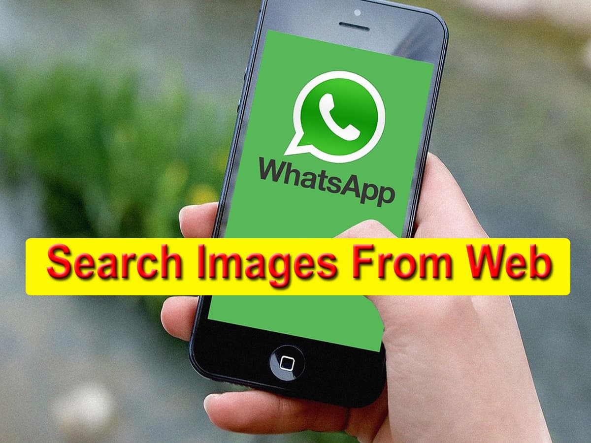 WhatsApp introduces ‘search images from web’ feature: Here's how to use it and all you need to know 