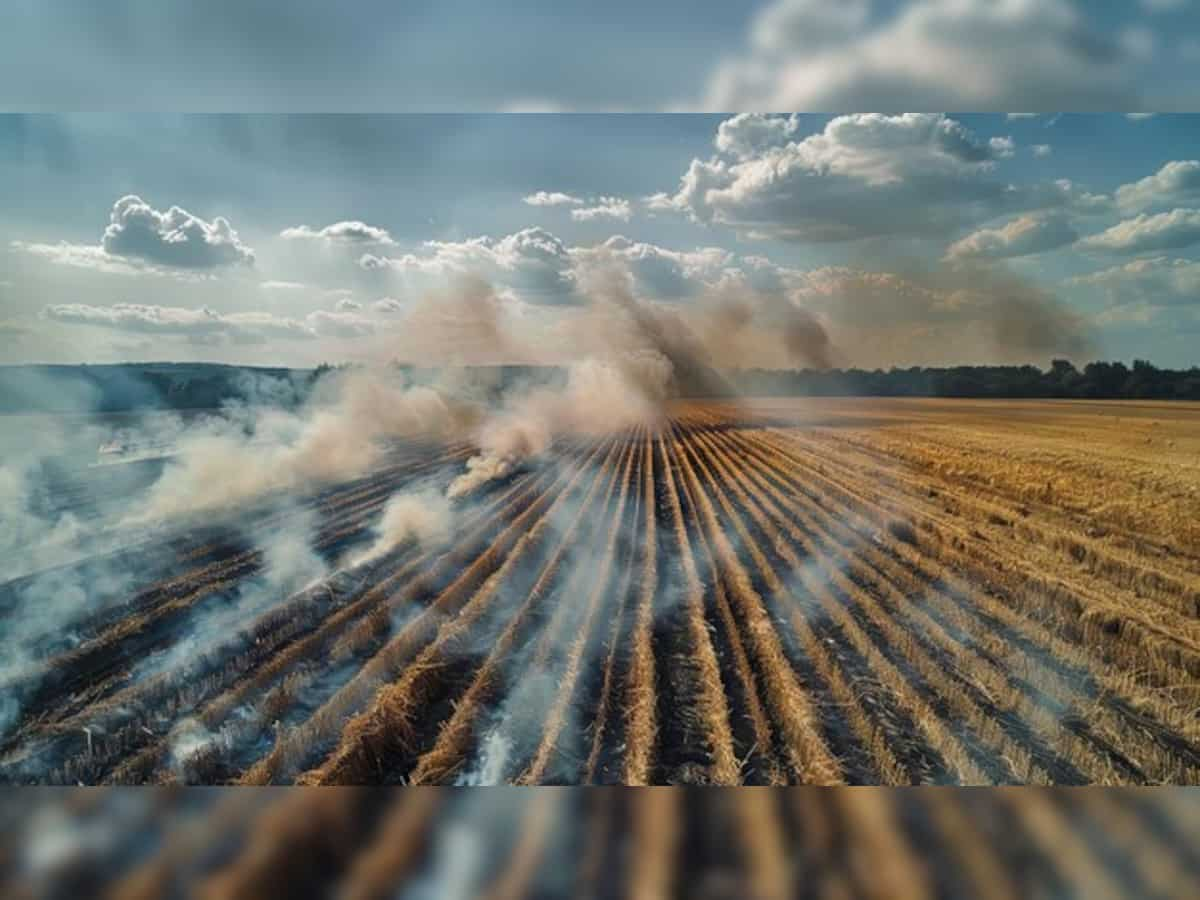 Government to impose hefty fines for stubble burning: Farmers to pay up to Rs 30,000/per incident