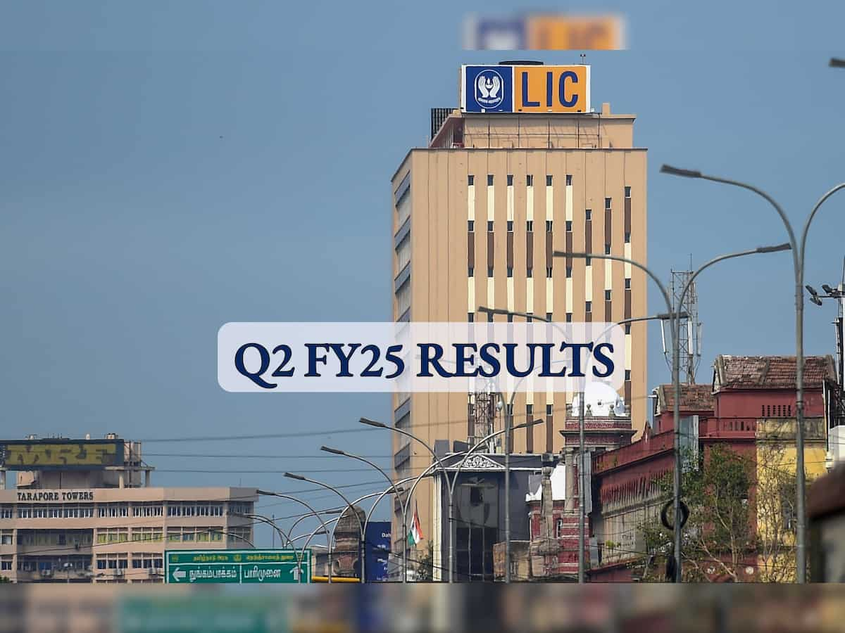 LIC Q2 FY25 Results: Net profit declines 3.8% to Rs 7,621 crore 