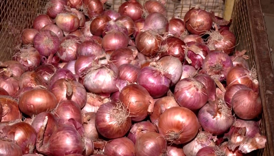 Onion prices soar across markets in Delhi, Mumbai, Lucknow leaving consumers in distress