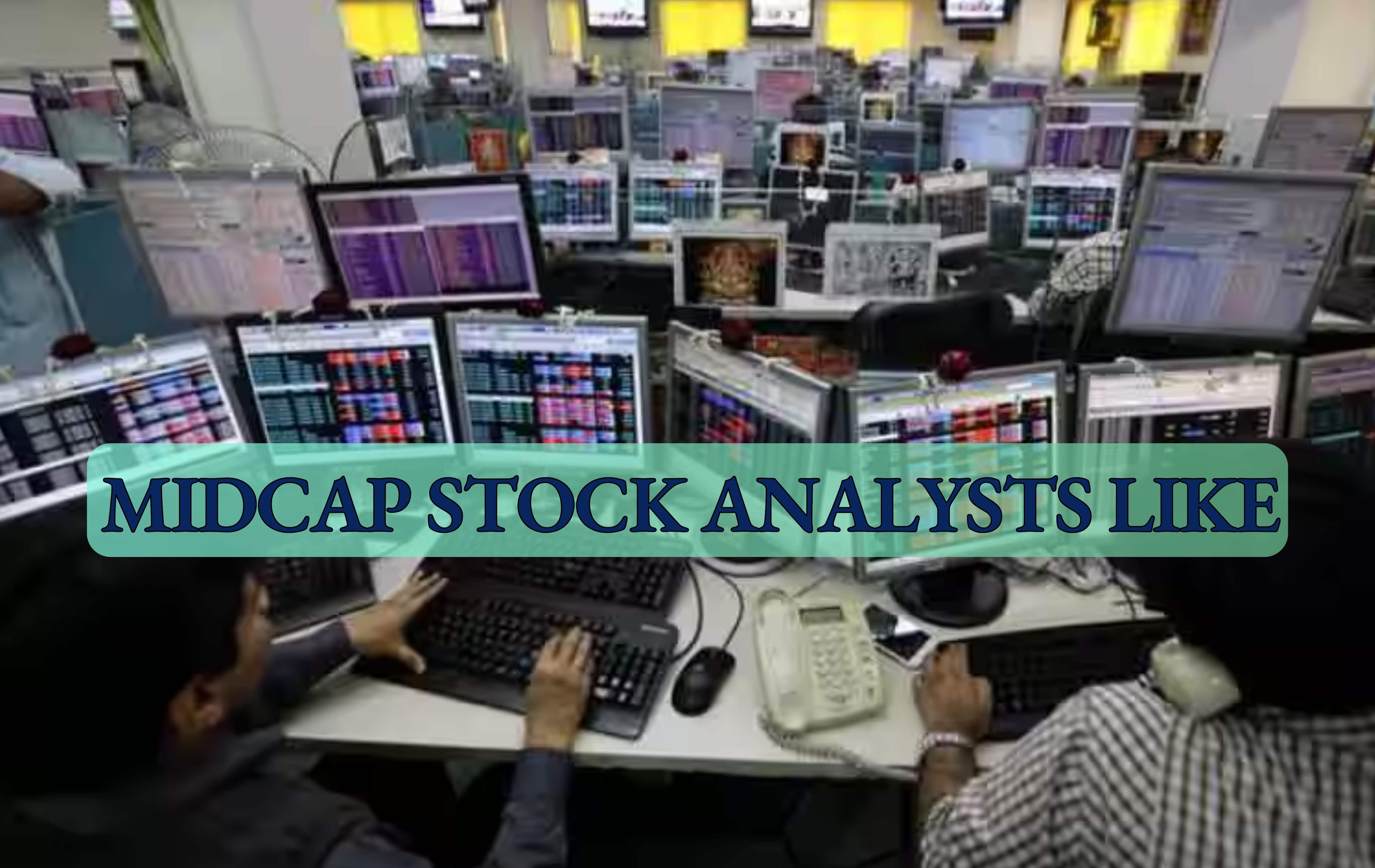 Midcap Stock to Buy for Long Term | Dhanuka Agritech