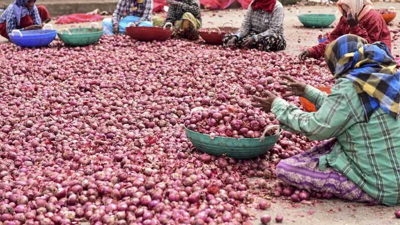 Exclusive: As onion prices cross Rs 100/kg mark in many regions, state authorities may take stern action against hoarders