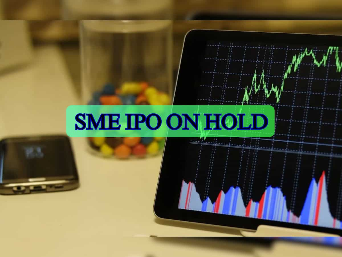 Rosmerta Digital Services SME IPO, set to be India's largest in segment, postponed