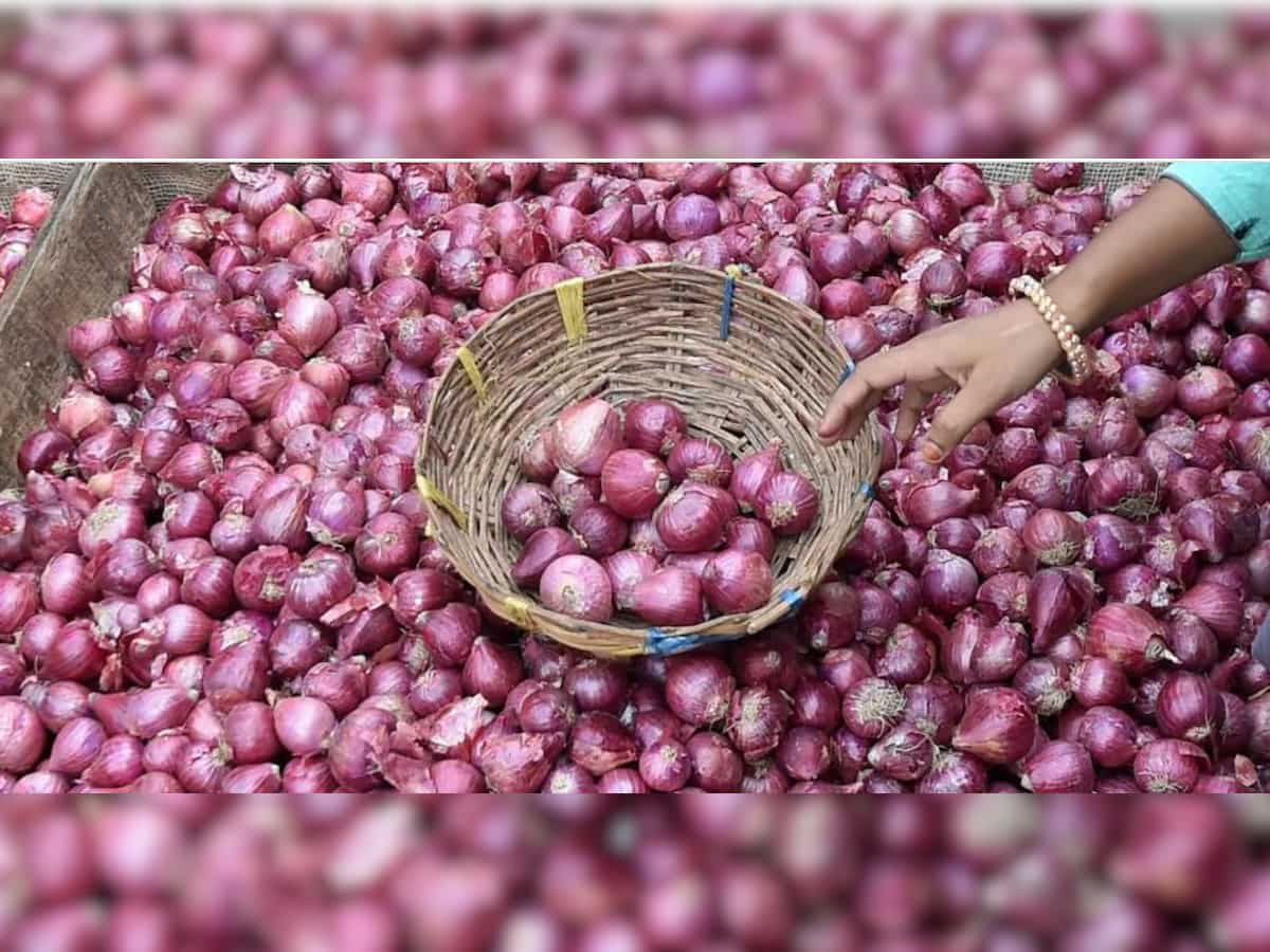 Onion prices to fall as fifth shipment of 720 tonnes to reach Delhi on November 21