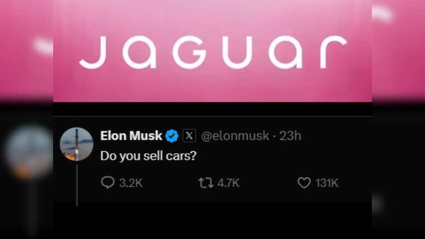 This is how Elon Musk reacted to Jaguar's video clip, and then...