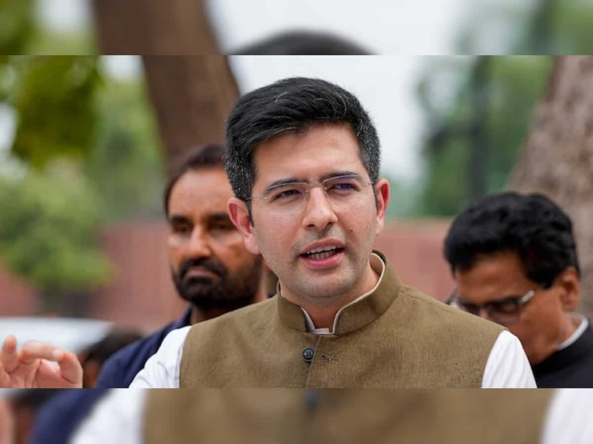 Punjab Election Update: AAP MP Raghav Chadha lauds party's victory in state assembly by-polls