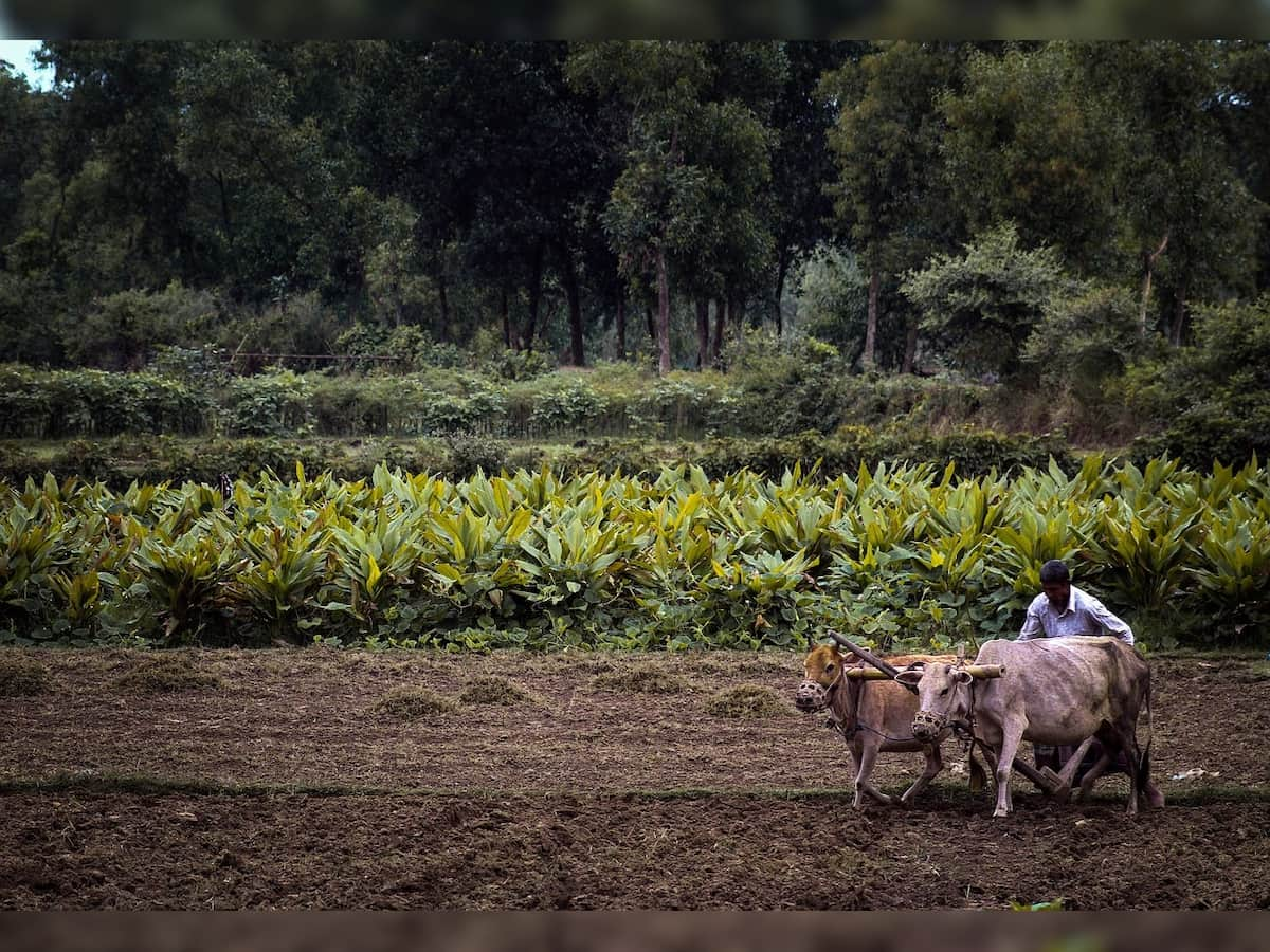 Cabinet approves Rs 2,481 crore National Mission on Natural Farming