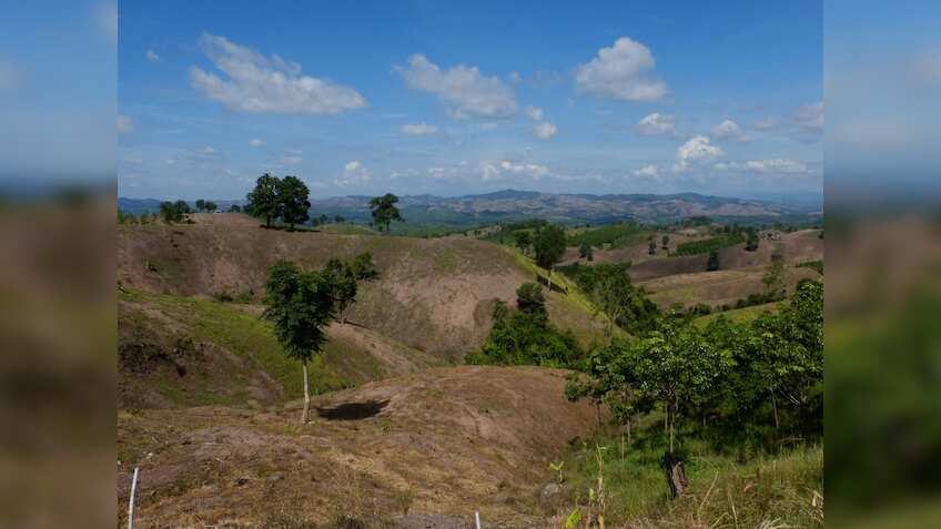 India achieves around 80% land restoration target: Government