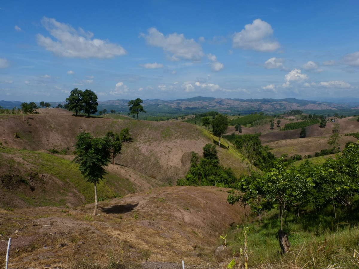 India achieves around 80% land restoration target: Government