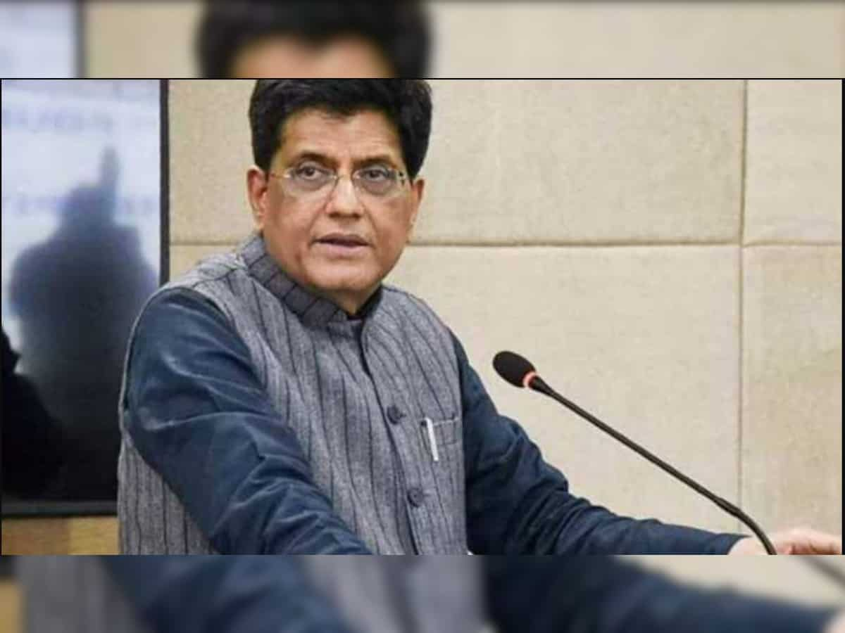 We are open to idea of alternate financing models for MSMEs: Piyush Goyal