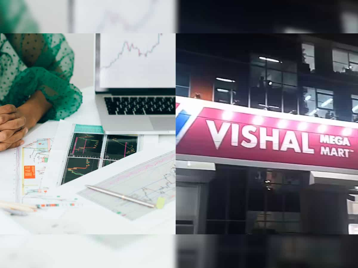 Vishal Mega Mart IPO: A closer look at retail firm’s Rs 8,000 crore offering