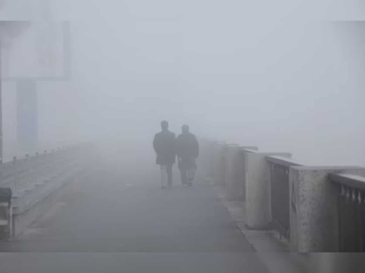 Cold conditions intensify in Rajasthan; Fatehpur records 0.1 degrees Celsius