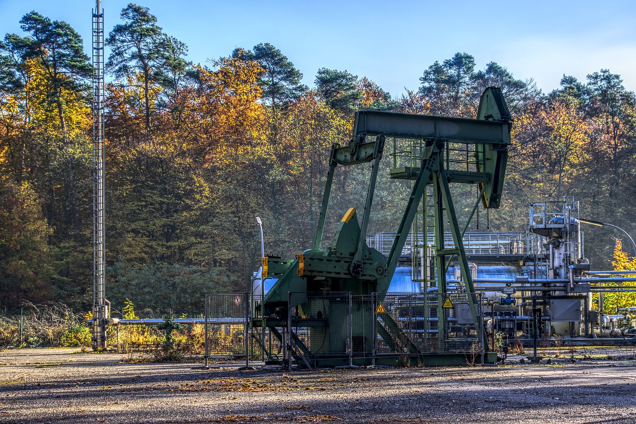 India's import of Russian oil drops in November