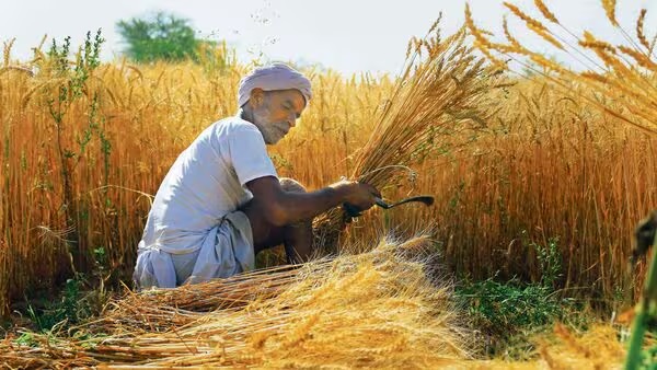 Wholesale inflation eases to 1.89% in November from 2.36% in previous month