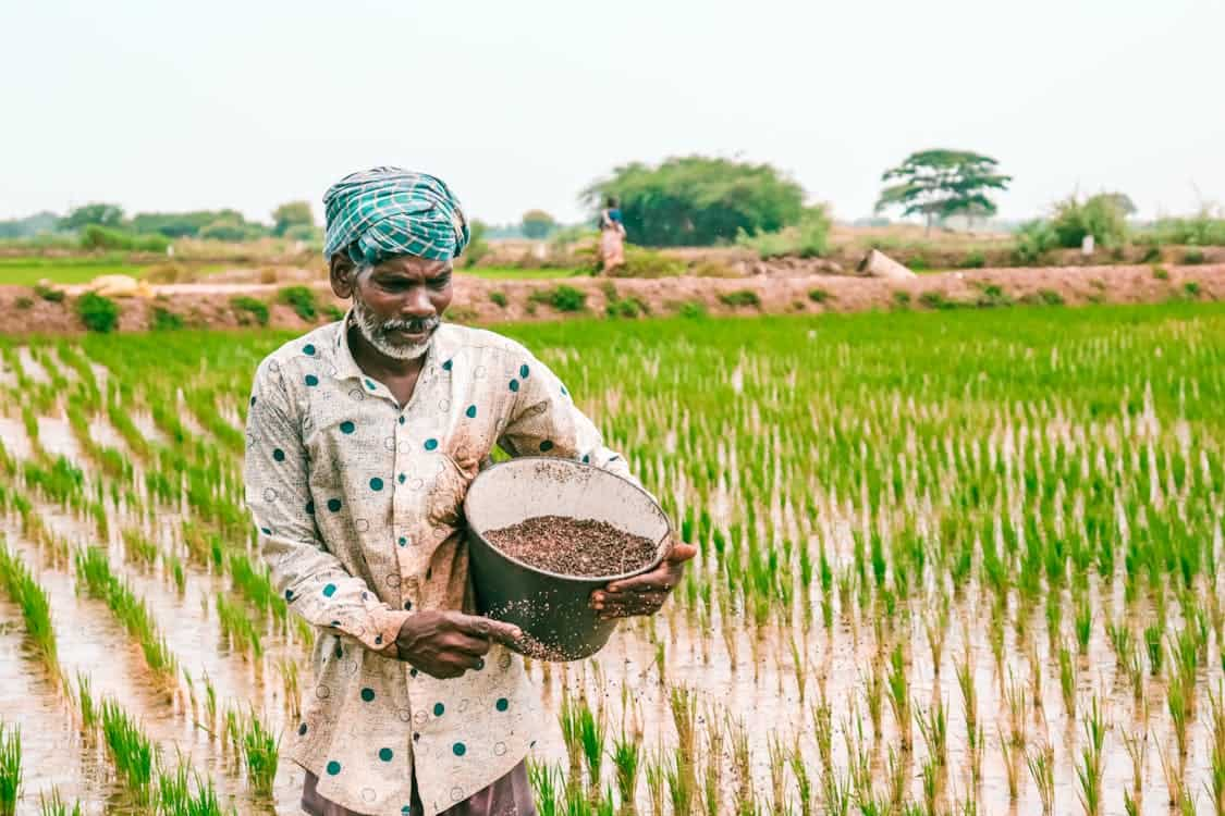 Stock of the Day | Chambal Fertilisers