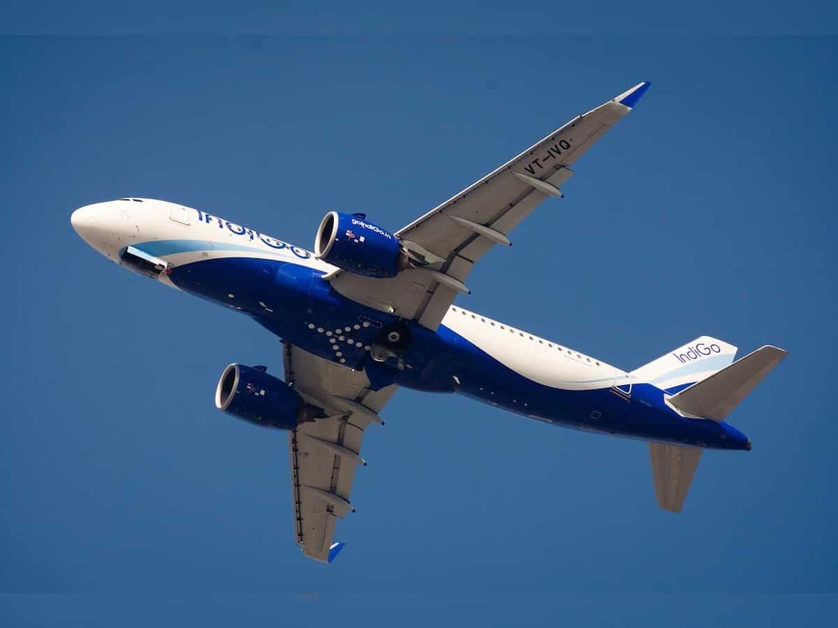 IndiGo’s exciting ‘International Sale’: Get incredible discounts on international flights and more