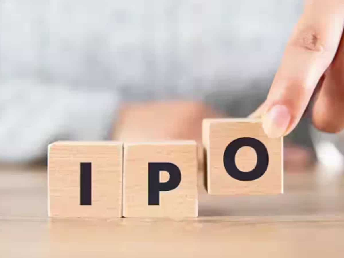 Top 11 IPOs of 2024: Premier Energies