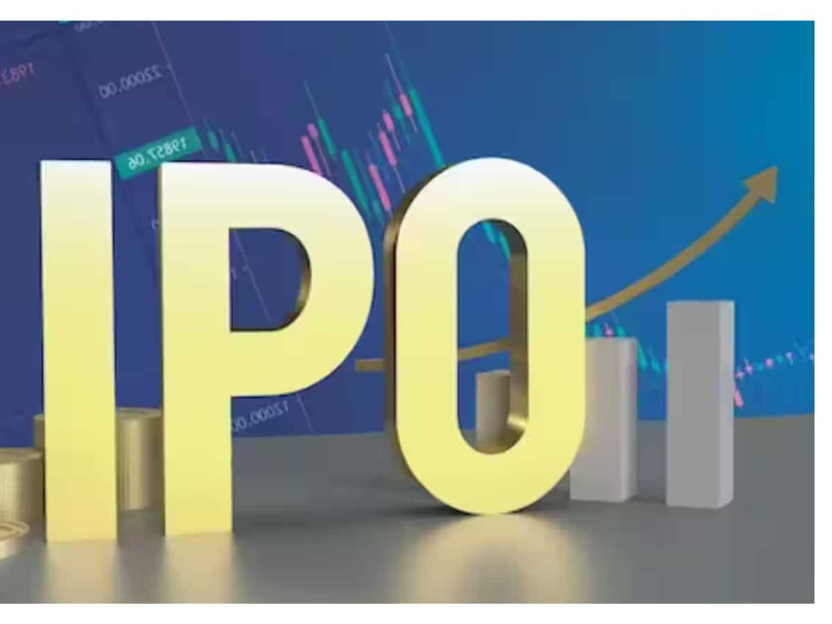 Top 11 IPOs of 2024: Platinum Industries