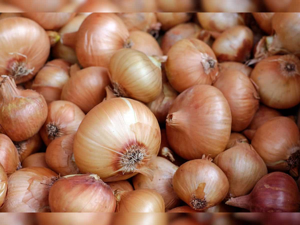 Farmers briefly halt onion auctions at Lasalgaon APMC after dip in prices 