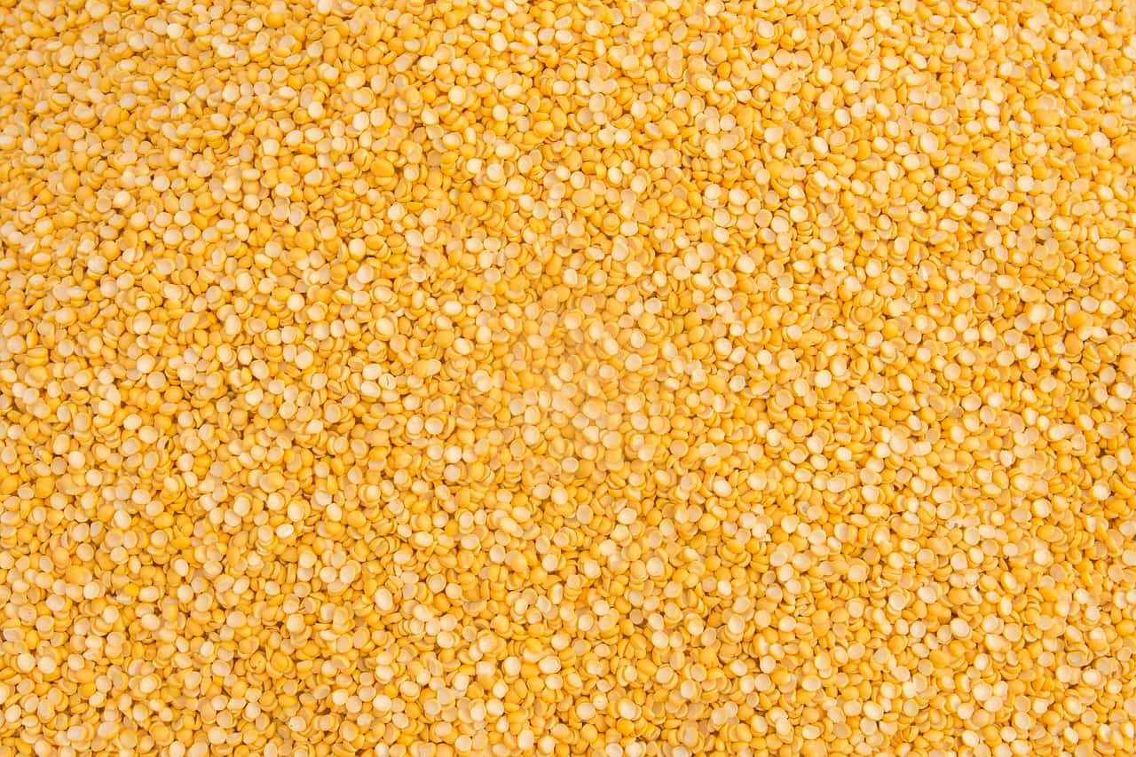 Government extends duty-free import of yellow peas till February 2025 