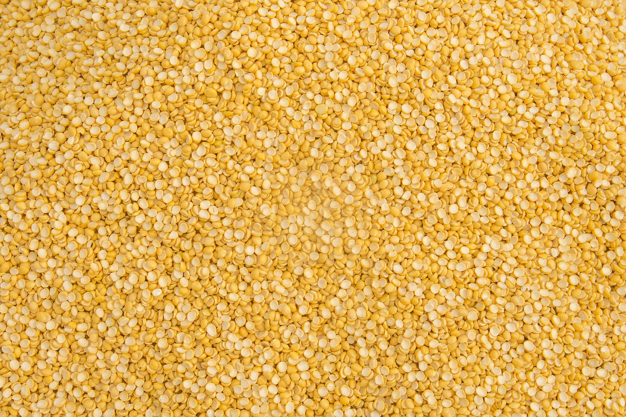 Government extends duty-free import of yellow peas till February 2025