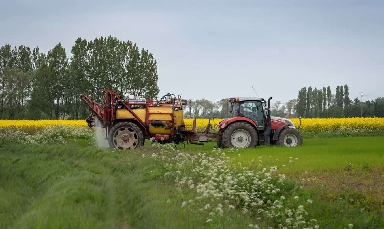 Foodgrain output set to scale new peak in 2025 as farm sector eyes 4% ...