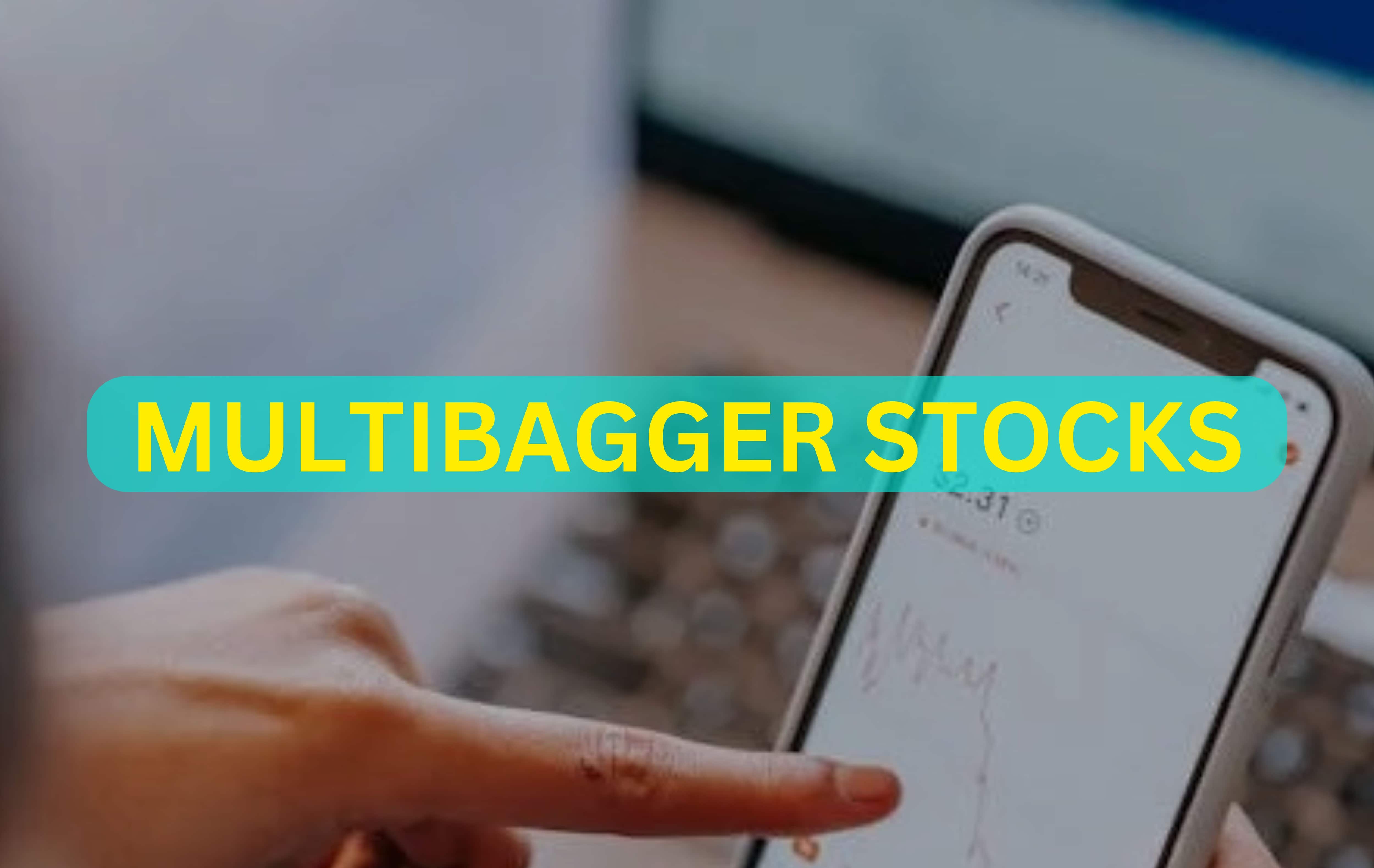 Multibagger Stocks of 2024: More than a dozen scrips grew investors' money by 2x or 3x 