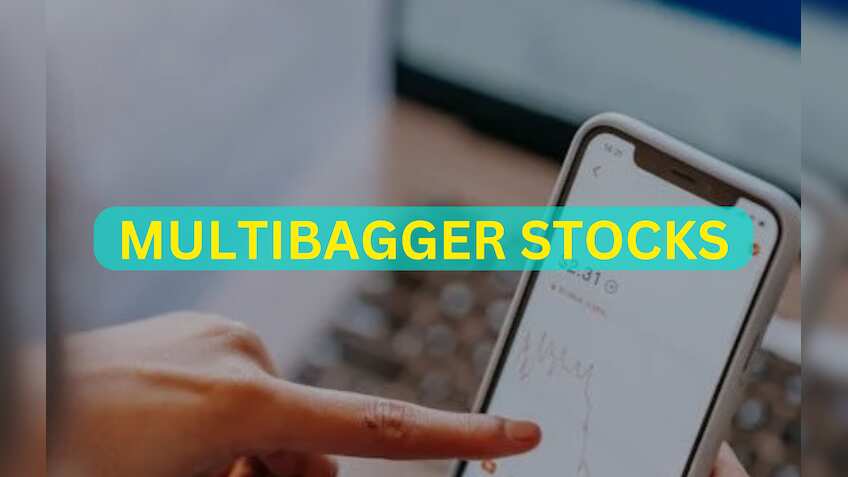 Multibagger Stocks of 2024: More than a dozen scrips grew investors' money by 2x or 3x 