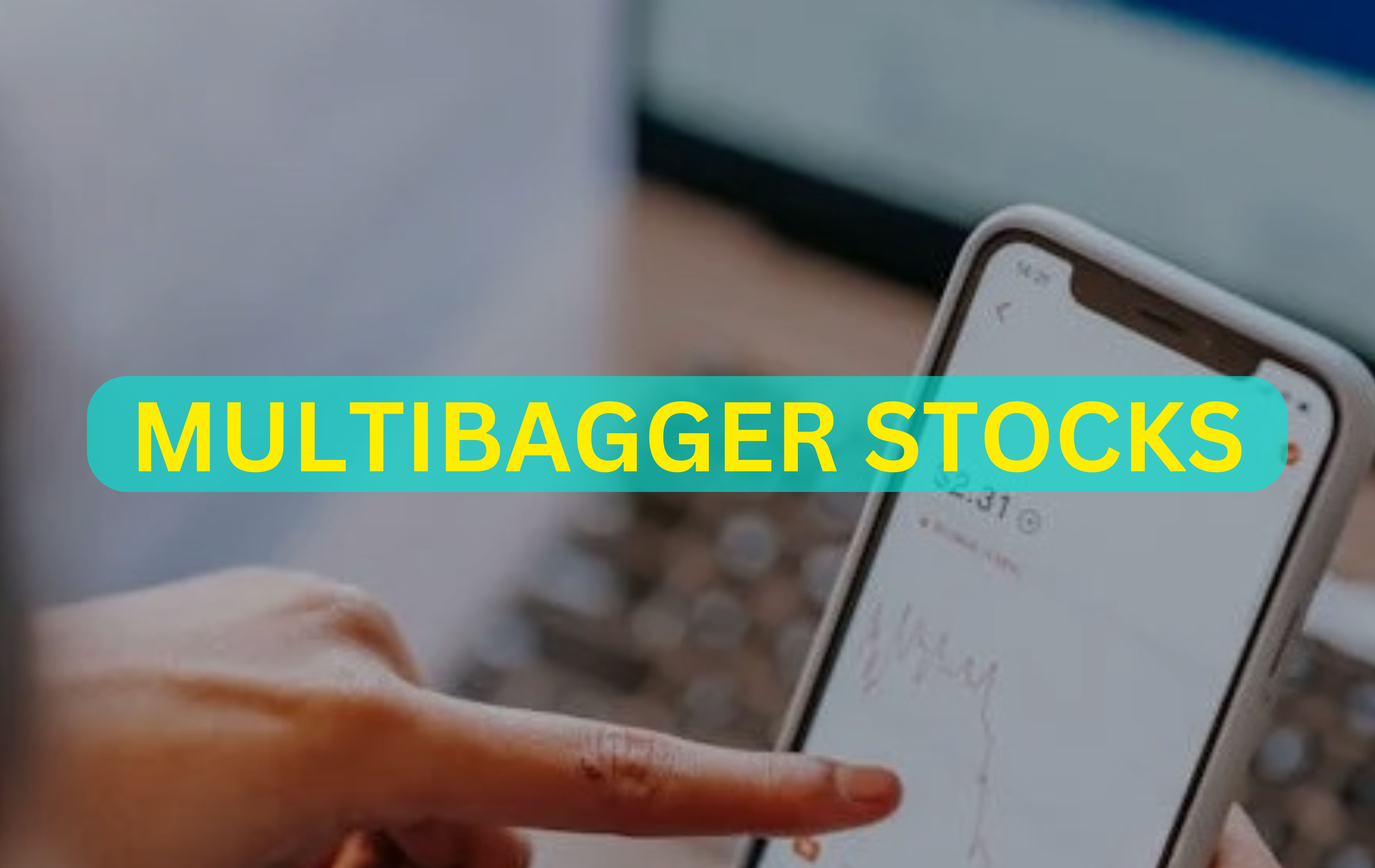 Multibagger Stocks of 2024: More than a dozen scrips grew investors' money by 2x or 3x