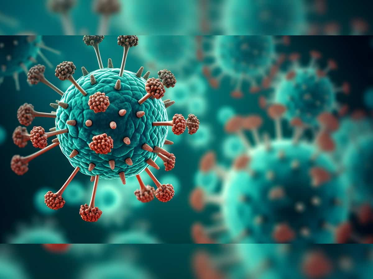 HMPV Virus: What it is, all you need to know