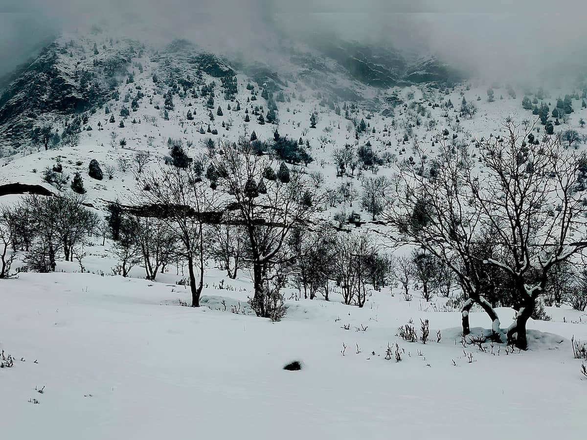 Dense fog disrupts flights in Srinagar; Valley braces for fresh round of heavy snowfall