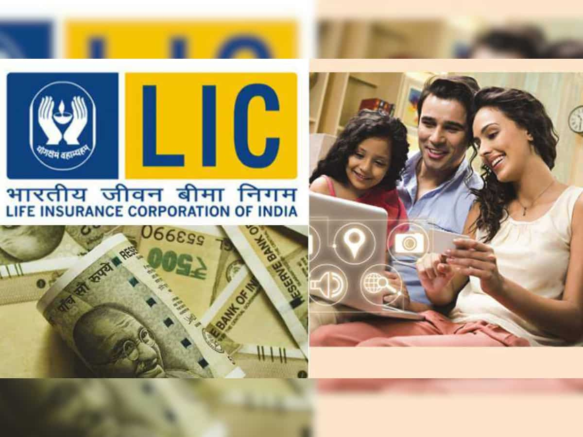 Want to revive your LIC policy? Here are steps you can take if you haven't paid policy premiums for up to 5 years