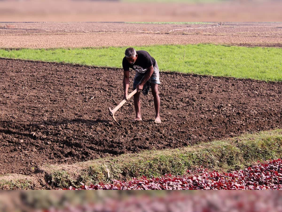 Farm workers, drivers largest growing jobs; cashiers, ticket clerks most declining: Study