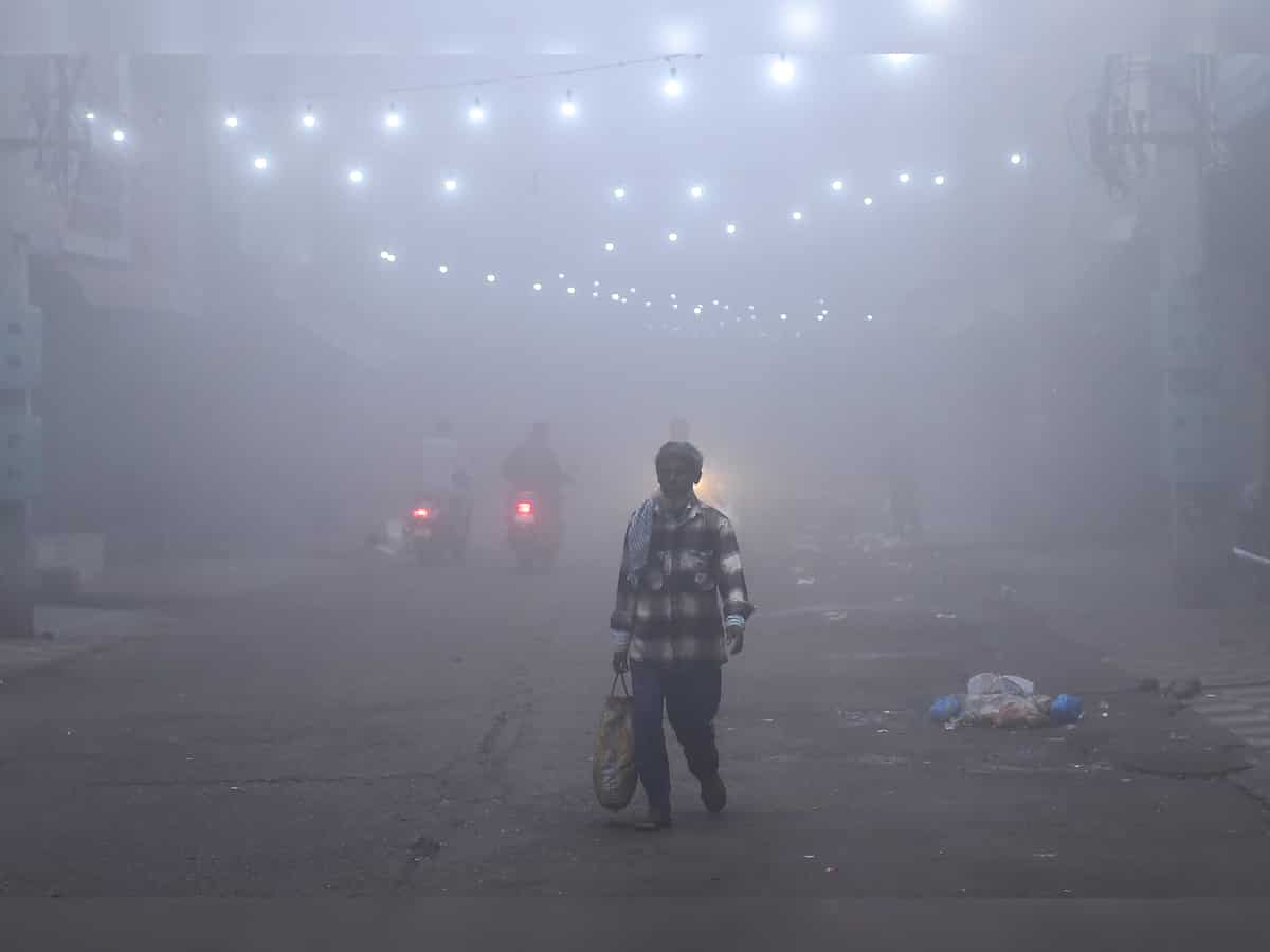 HP Weather News: IMD issues yellow warning for cold wave, dense fog in 5 Himachal districts 