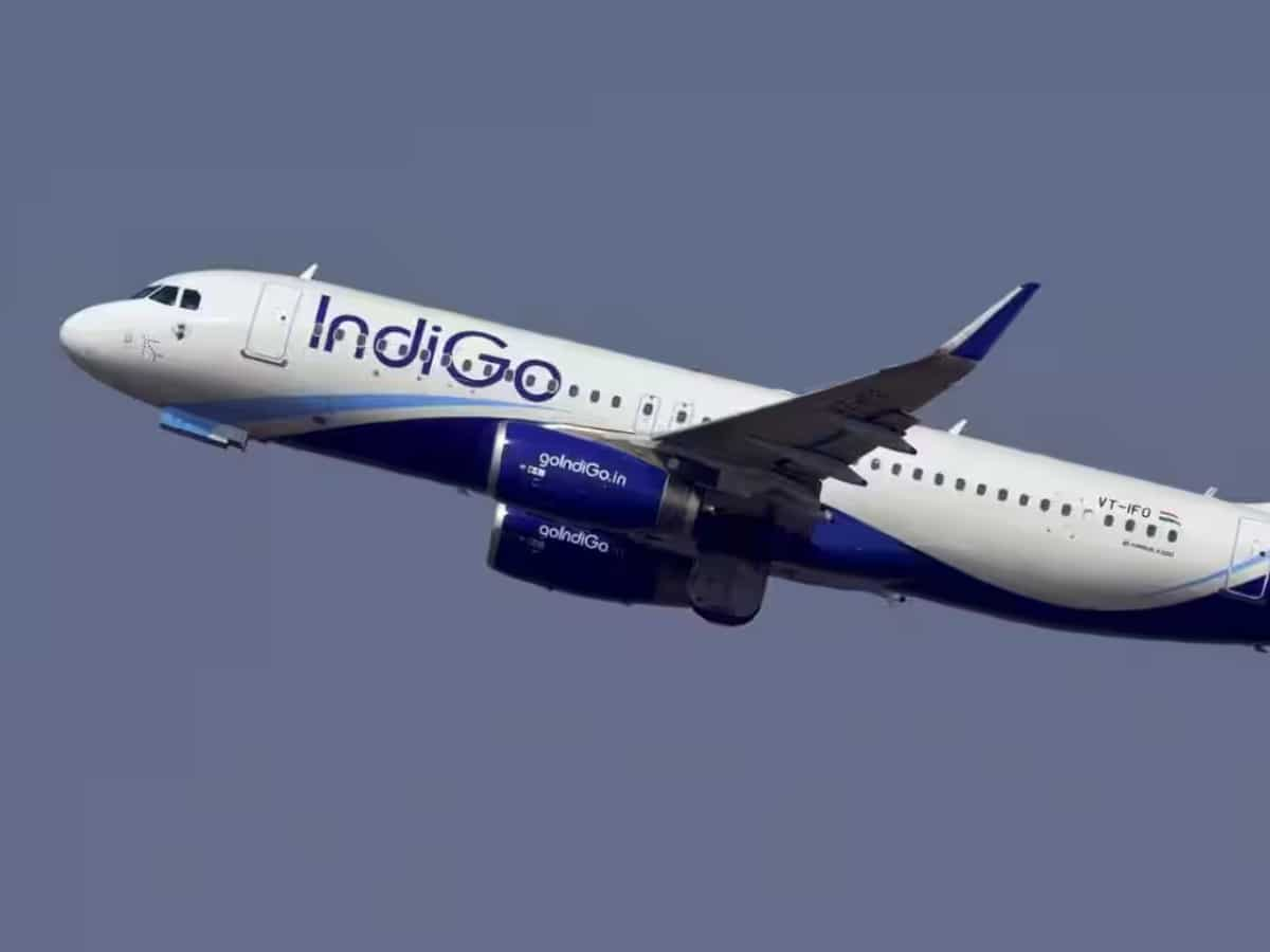 Indigo target price 