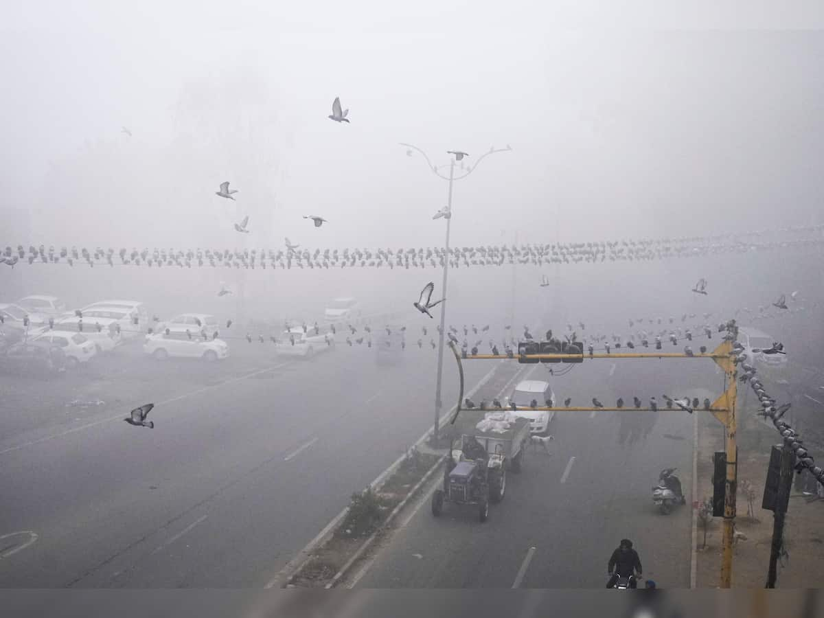 "Very dense fog" in Delhi as visibility drops to zero; flight services impacted