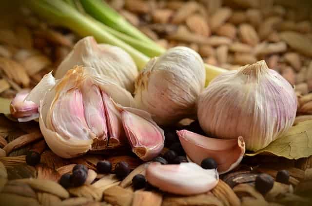 Minister Piyush Goyal assures garlic traders to look into alleged illegal imports issue