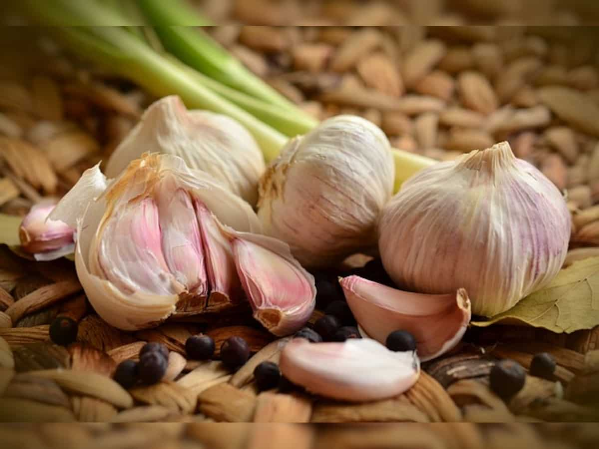 Minister Piyush Goyal assures garlic traders to look into alleged illegal imports issue