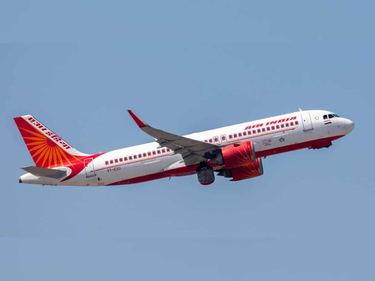 Falling rupee puts pressure on Air India's cost structure; international flights provide hedge: Company official