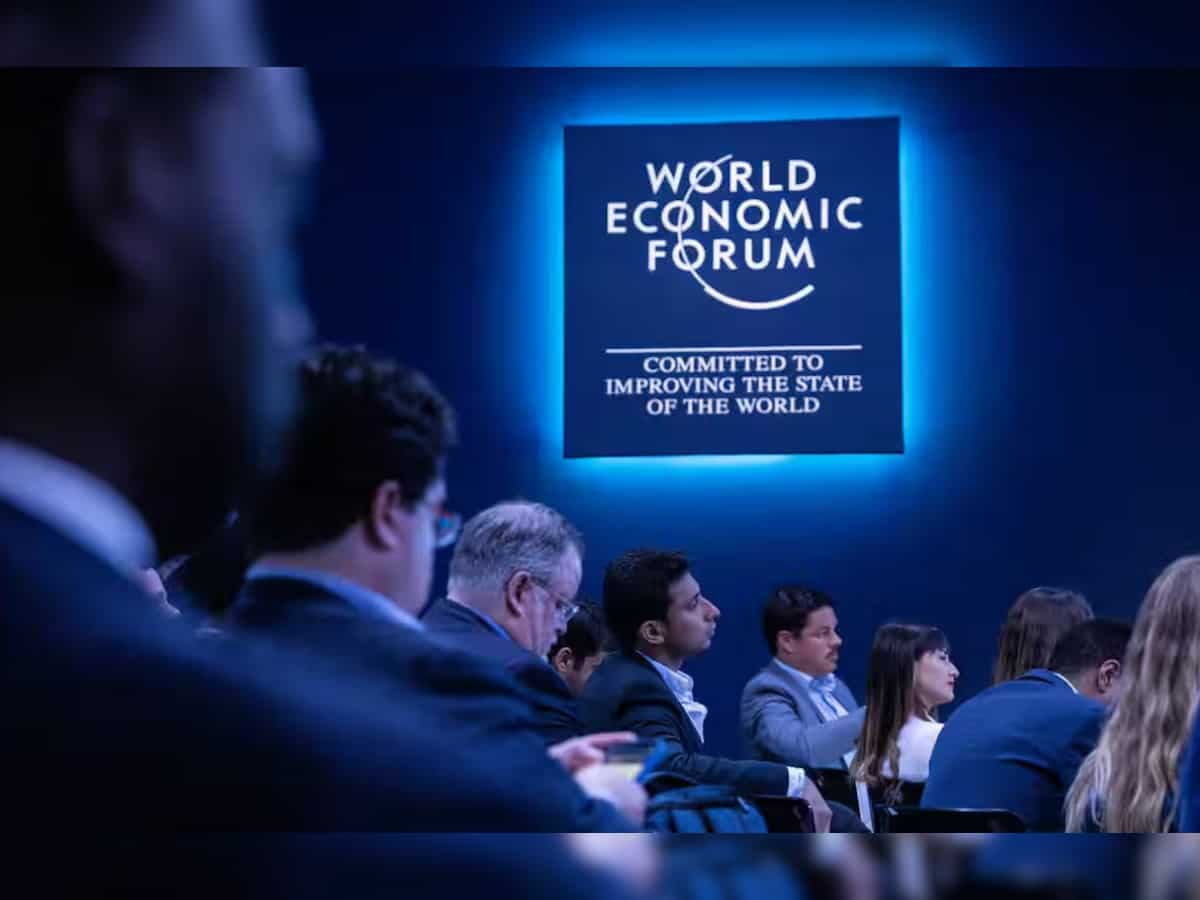 Global economic conditions to weaken in 2025, India's strong growth continues: WEF