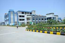 Rallis India Q3 Results: Net profit dips by 54.16% to Rs 11 crore 