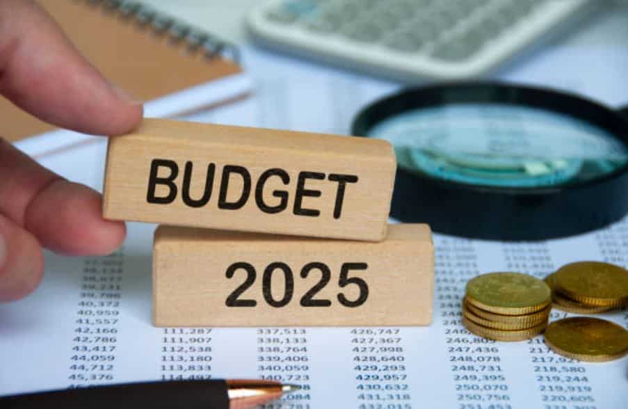 Budget needs to cut tax rates, focus on domestic drivers to boost growth: EY