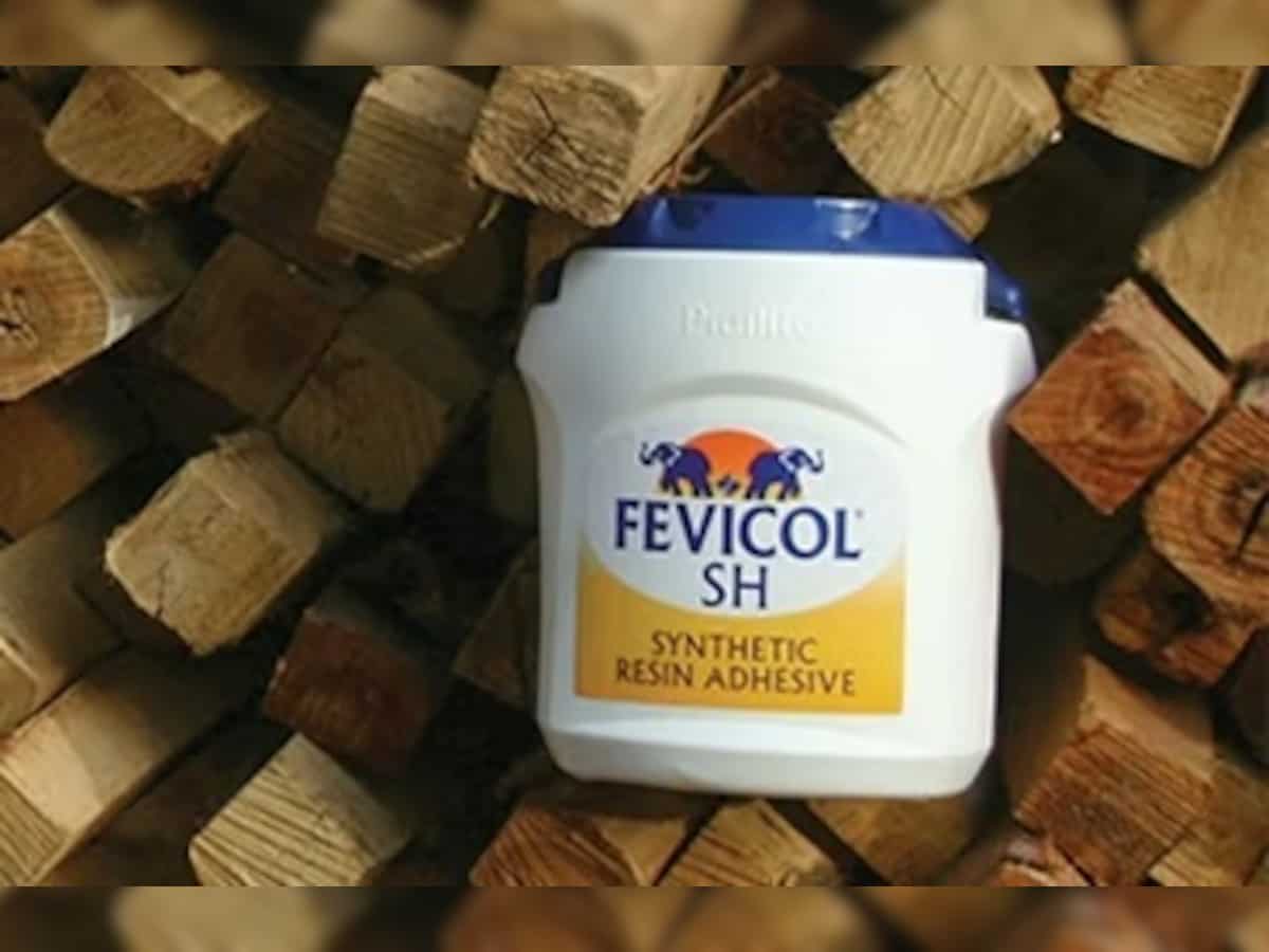 Pidilite Q3 FY25 Results Preview: PAT likely to grow nearly 14%, margin may improve by 70 bps