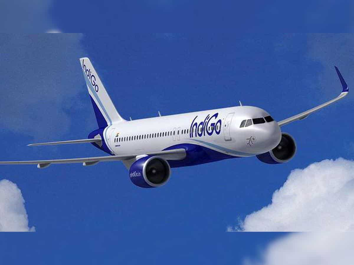 IndiGo to operate Jharsuguda-Mumbai daily flights 